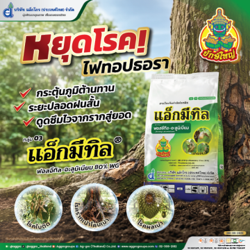 แอ็กซ่า